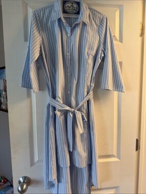 Emerald Sunday Striped Button-Front Shirt Dress in Light Blue and White